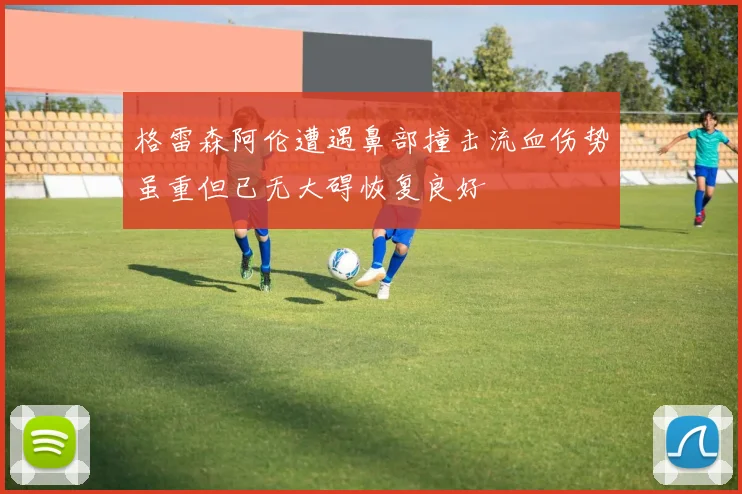 格雷森阿伦遭遇鼻部撞击流血伤势虽重但已无大碍恢复良好